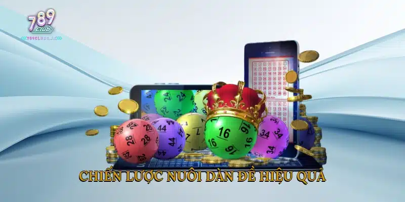 Chiến lược nuôi dàn đề hiệu quả